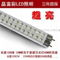 廠家直供LED光管T10 LED Tube量大價格優 1