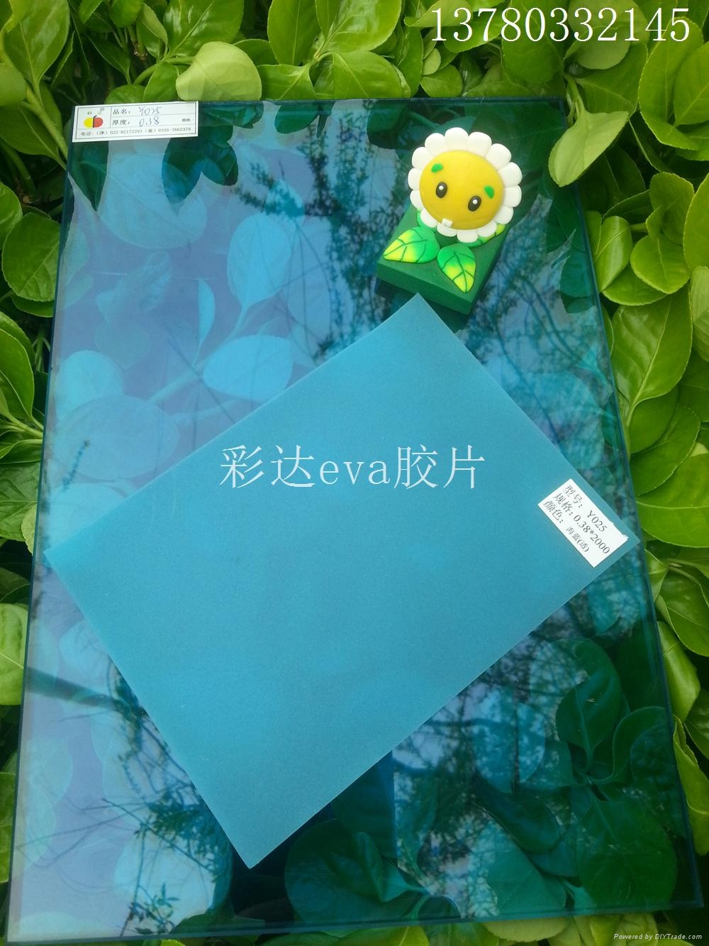 decorative colored laminate glass eva film for outdoor EVA caida