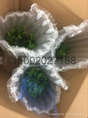 花卉水養植物快遞物流保護充氣柱袋 3