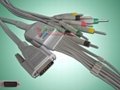 Nihon Kohden  EKG Cable with 10 -leadwires