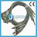 Philips One Piece 10-Lead EKG Cable With Leadwires