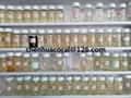 APG0810(Alkyl polyglucoside) green wetter &emulsifier for glyphosate SL