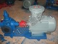 2CG系列高溫齒輪泵