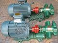 2CG系列高溫齒輪泵 2