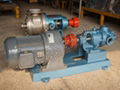 NYP系列内环式高粘度泵 1