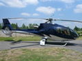 HELICOPTER CHARTER 5