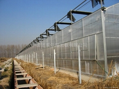 Polycarbonate Anti-fog sheet for green house
