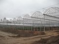 Polycarbonate sheet for Green house