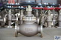 Marine Bronze or Brass Globe valve 2