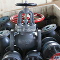 jis Marine Cast Iron Globe valve 5k 10k 16k 3