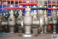 Bronze or Brass Screw down Check  valve 5k 16k 2