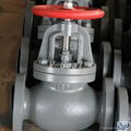 JIS Marine valve Cast Iron Check Globe