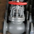 JIS Marine valve Cast Iron Check Globe valve