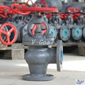 JIS Marine valve Cast Steel Check Globe valve 4