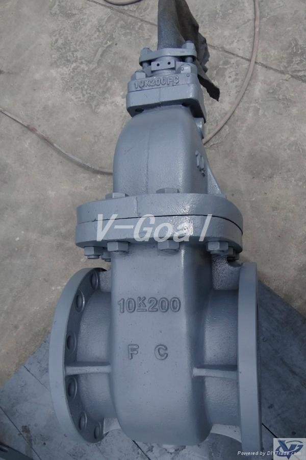 JIS Marine valve Cast Iron Gate valve