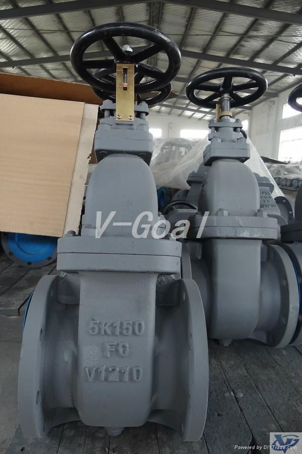 JIS Marine valve Cast Iron Gate valve 2