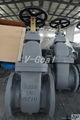 JIS Marine valve Cast Iron Gate valve 2