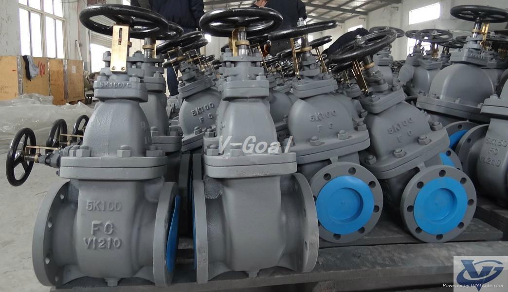 JIS Marine valve Cast Iron Gate valve 3