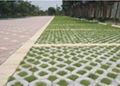 生態植草磚