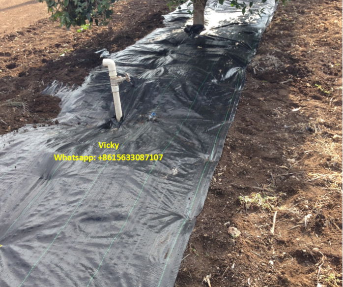 Weed Control Mat 2