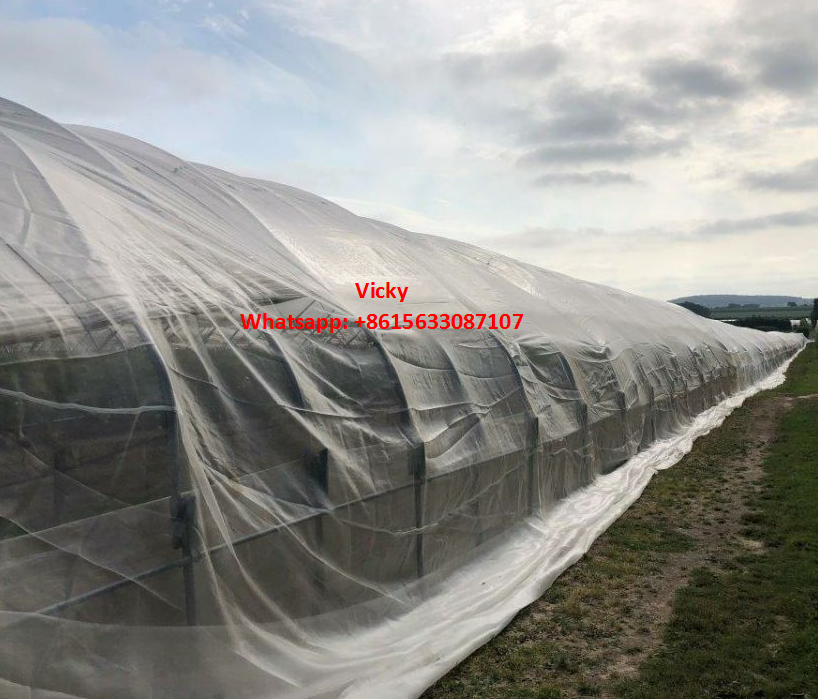 Insect proof screen net