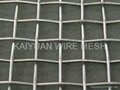 Stainless Steel Wire mesh 3