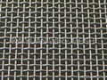 Stainless Steel Wire mesh 4