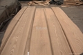 elm veneer 1