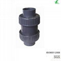 PVC Female Foot Valve 5