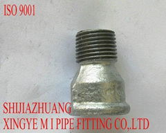 malleable iron pipe fittings