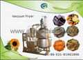 Vegetable and Fruit Chips Food Machine 1