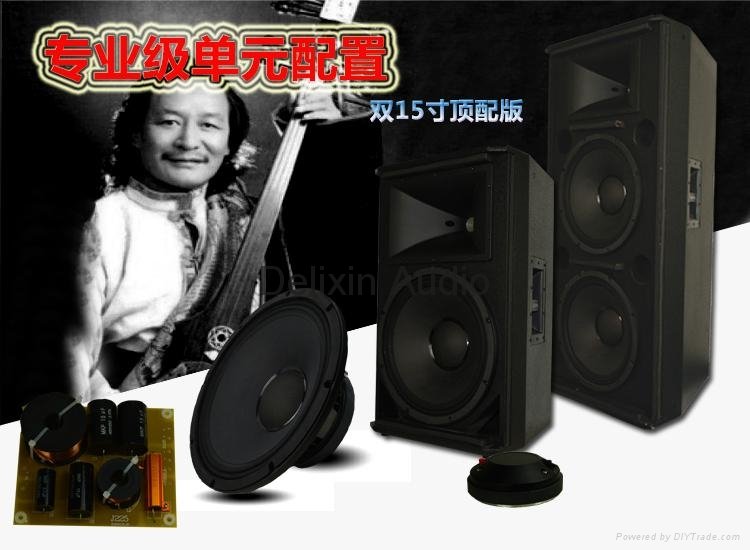 Dual 15" Powerful Loudspeaker PA Speaker PRO Audio (SRX725) 3
