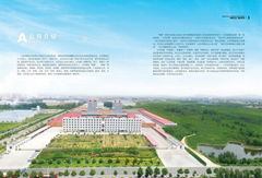 Shandong Mingyin Import and export Co., Ltd.