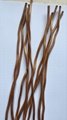 willow reed sticks