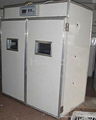 CE approved full automatic egg Incubator egg YZTIE-13 2