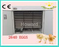 CE approved Fully Automatic Egg Incubator YZTIE-17