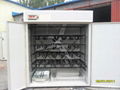 CE approved Fully Automatic Egg Incubator YZTIE-17 2