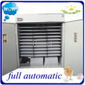 CE approved , full automatic egg incubator for hatching eggs YZITE-24  2