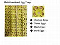 CE approved full automatic quail egg incubator for hatching eggs YZITE-8 2