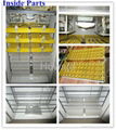 CE approved full automatic quail egg incubator for hatching eggs YZITE-8 3