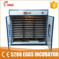 CE approved , full automatic egg incubator for hatching eggs YZITE-24  1