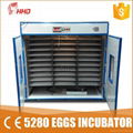 CE approved , full automatic egg incubator for hatching eggs YZITE-24 