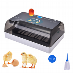 HHD OEM Available RoHs Automatic 12 Chicken Egg Incubators 