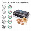HHD OEM Available RoHs Automatic 12 Chicken Egg Incubators 