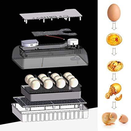 HHD OEM Available RoHs Automatic 12 Chicken Egg Incubators  4