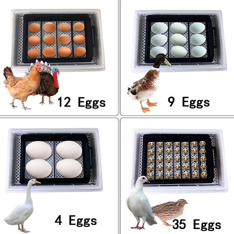 HHD OEM Available RoHs Automatic 12 Chicken Egg Incubators  5