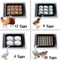 HHD OEM Available RoHs Automatic 12 Chicken Egg Incubators  5