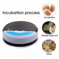 Customized Service Portable Automatic Mini 9 Quail Egg Incubators