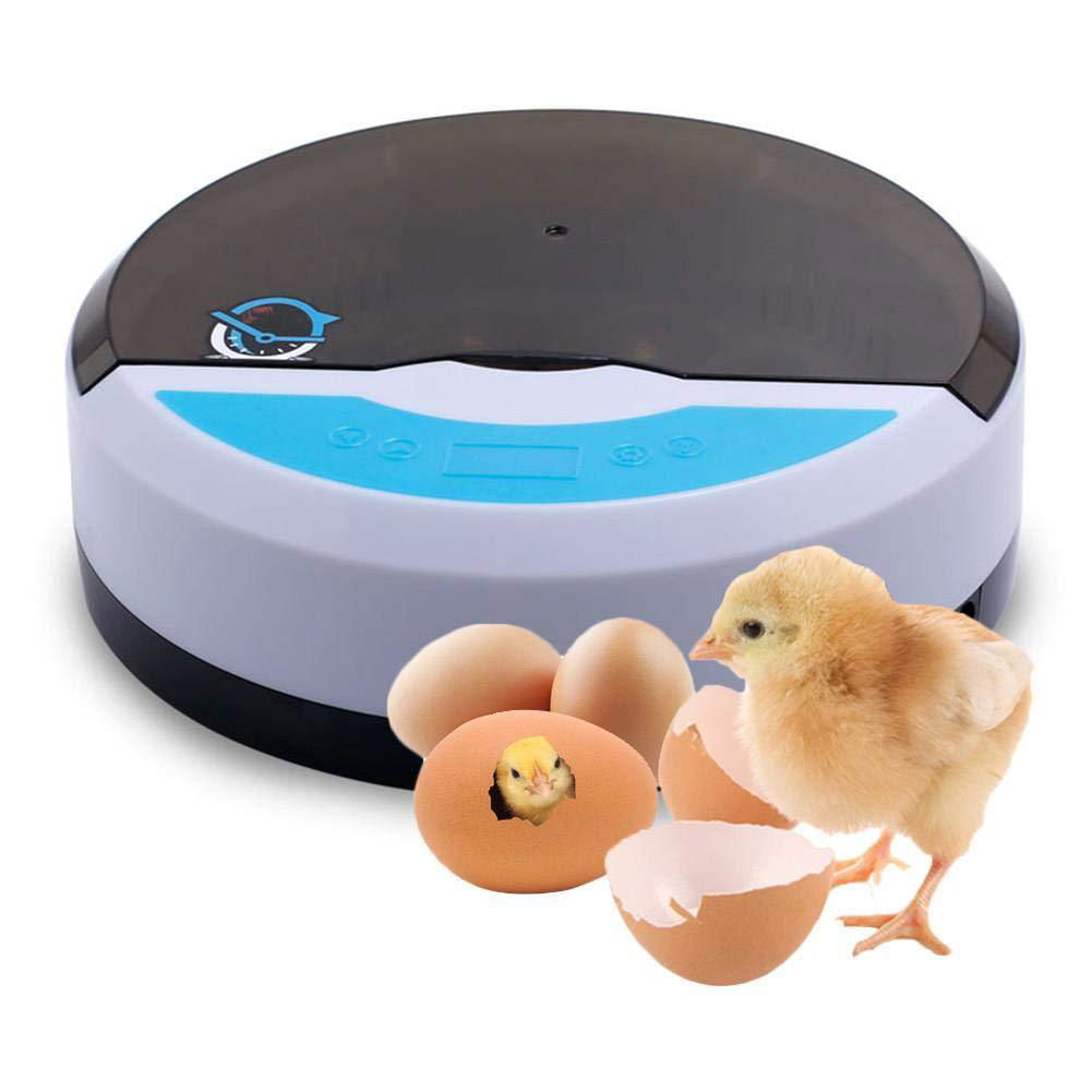 Customized Service Portable Automatic Mini 9 Quail Egg Incubators 2