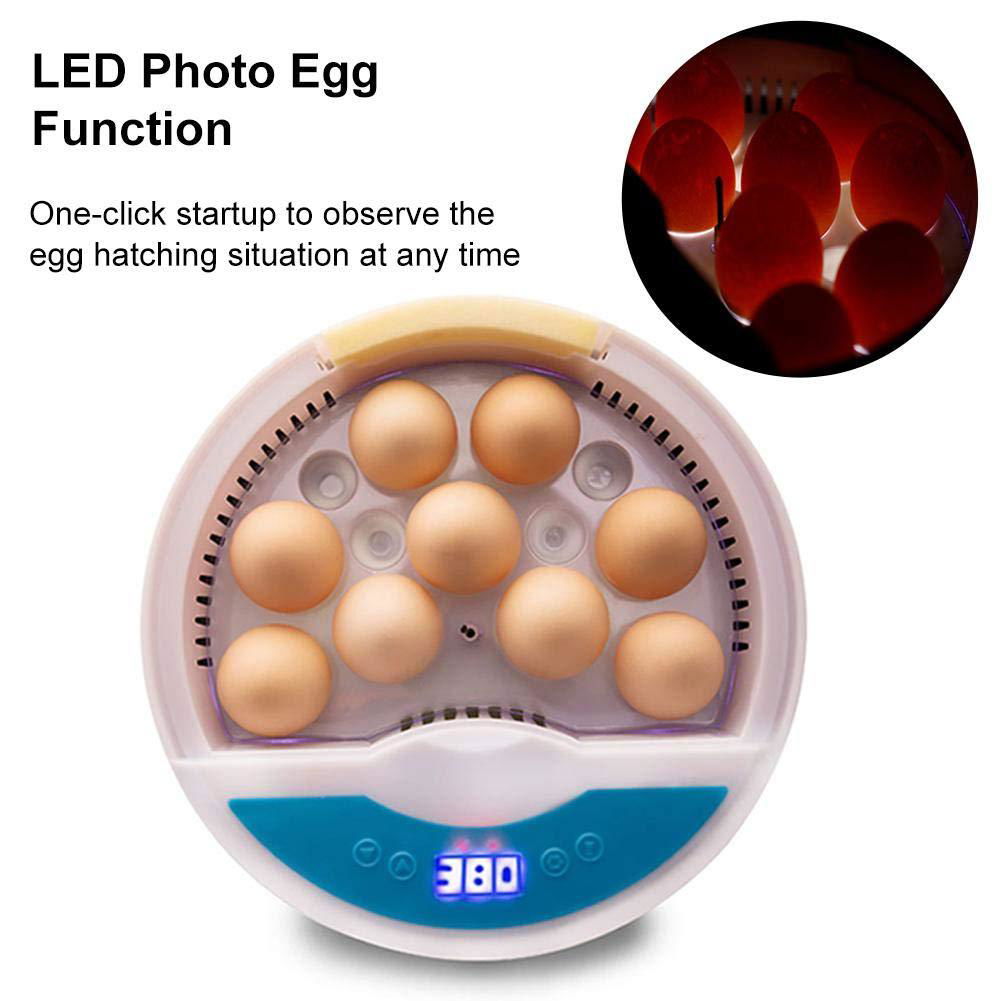 9枚孵蛋器带LED灯 V+13027243119 4